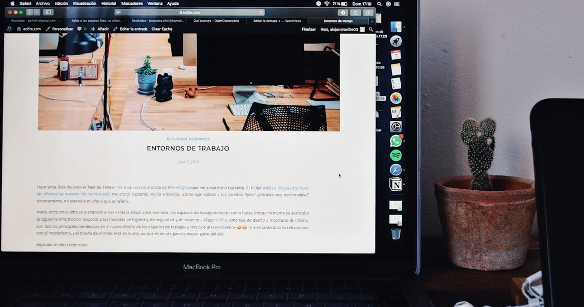 Un blog de tienda nicho suele tardar 9–12 meses en ROI